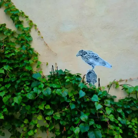 Au Rdc Centre Historique Appartement