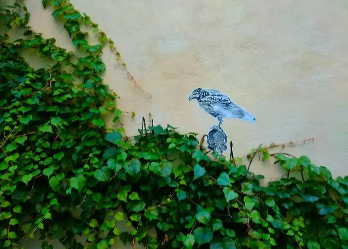 Au Rdc Centre Historique Apartman